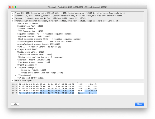 TCPSocket Error (WS) - MacOS